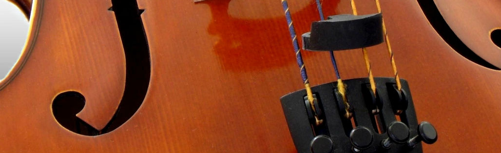 Cello_bridge2