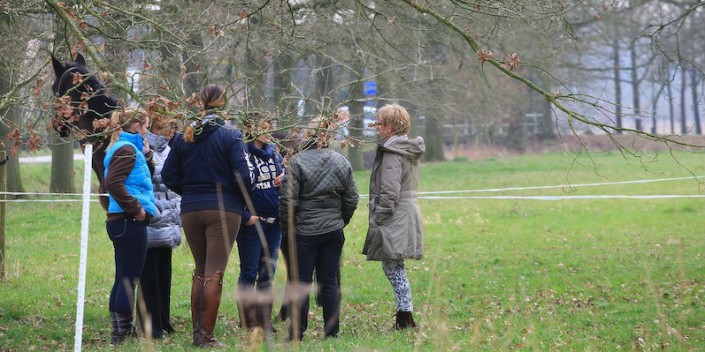 Fluisteren met paarden