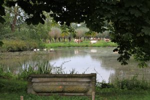 ®MIrjamVerschoorIMG 1773