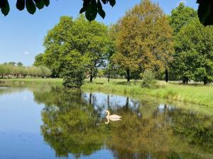 Vijver 2020 e1590587148536 Zwemvijver Kasteel Sterkenburg