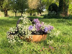mand met bloemen e1615476129579 mand met bloemen e1615476129579