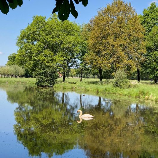 Zwemvijver Kasteel Sterkenburg